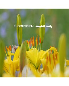 FLORHYDRAL رائحة الطبيعة